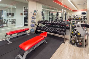 One Bedroom Apartments for Rent in Houston, TX - Fitness Center (3)   